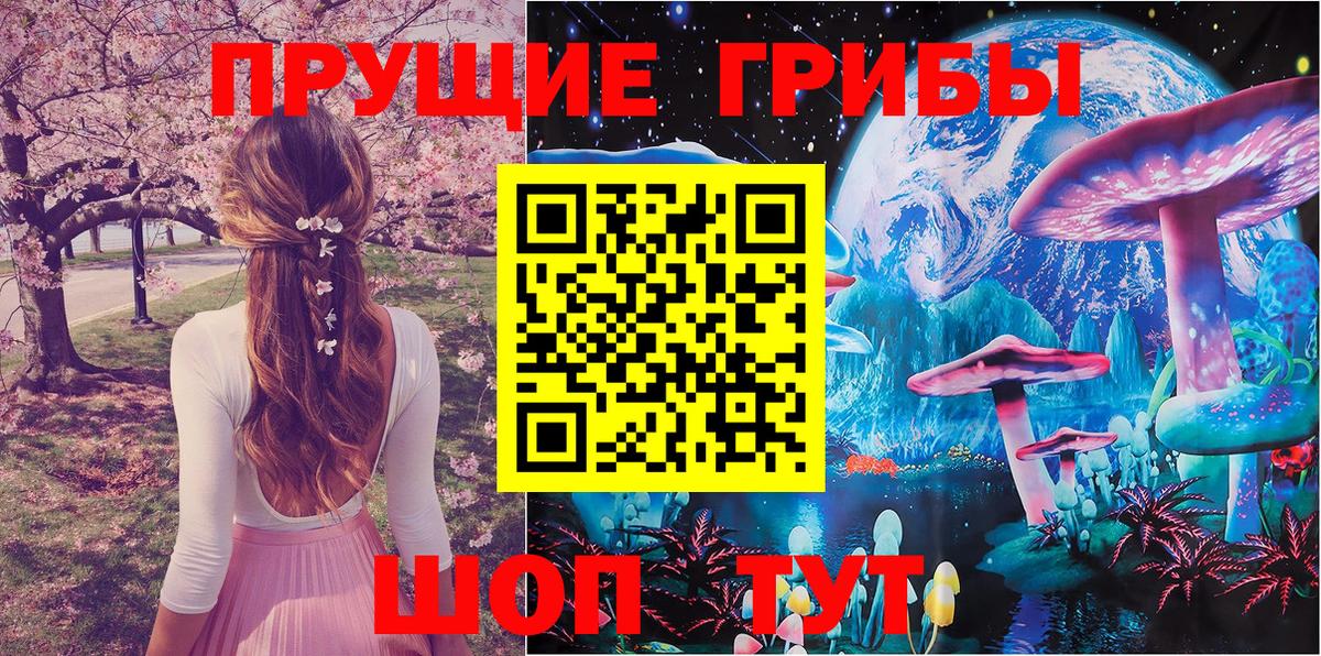 Псилоцибиновые грибы Psilocybe  Вход с VPN  Ейск 